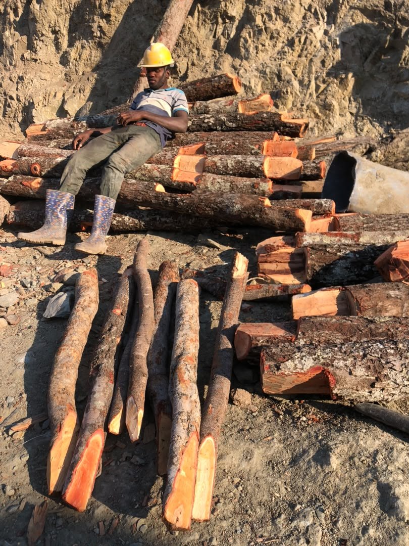 Miner at timber pile